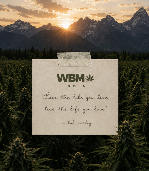 Wake Bake & Meditate — Welcome